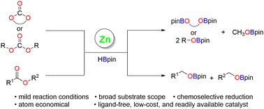 Graphical abstract: An efficient catalytic method for the borohydride reaction of esters using diethylzinc as precatalyst
