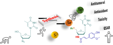 Graphical abstract: Synthesis, antioxidant and antitumoral activity of new 5′-arylchalcogenyl-3′-N-(E)-feruloyl-3′, 5′-dideoxy-amino-thymidine (AFAT) derivatives