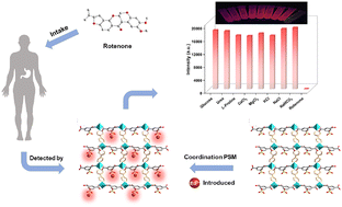 Graphical abstract: An Eu3+-functionalized metal–organic framework (Eu@Zn-MOF) for the highly sensitive detection of rotenone in serum