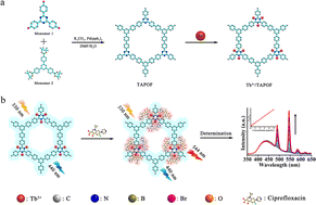 Graphical abstract: A Tb3+ functionalized triazine-porous organic framework as a ratiometric fluorescent sensor for determination of ciprofloxacin in aquatic products