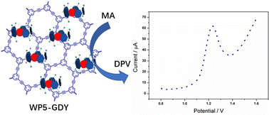 Graphical abstract: Water-soluble pillar[5]arene-modified graphdiyne functional material and its application towards ultrasensitive and robust electrochemical methylamphetamine determination