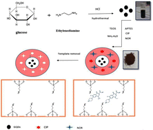 Graphical abstract: Synthesis of surface dual-template molecularly imprinted silica nanoparticles for extraction of ciprofloxacin and norfloxacin