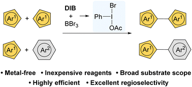 Graphical abstract: Application of a DIB/BBr3 protocol in metal-free aryl coupling reactions