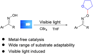 Graphical abstract: Visible light-triggered synthesis of oxime ethers using tetrabromomethane as a mediator