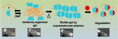 Graphical abstract: Heat-set supramolecular polymer gel and decomposition by guests