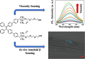 Graphical abstract: A bifunctional TPE-based fluorescent sensor for liquid viscosity and amyloid β measurements
