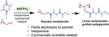Graphical abstract: Rapid alcoholysis of cyclic esters using metal alkoxides: access to linear lactyllactate-grafted polyglycidol