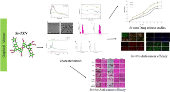 Graphical abstract: The creation of selenium nanoparticles decorated with troxerutin and their ability to adapt to the tumour microenvironment have therapeutic implications for triple-negative breast cancer