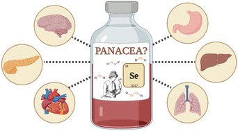 Graphical abstract: Organic selenocompounds: are they the panacea for human illnesses?