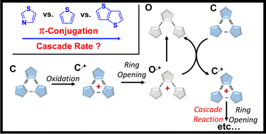 Graphical abstract: Investigations into oxidation induced ring opening of terarylenes containing π-extended thieno[b]thiophene units