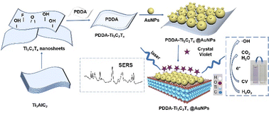 Graphical abstract: Highly sensitive in situ SERS monitoring of Fenton-like reaction by a PDDA-MXene@AuNP composite