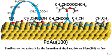 Graphical abstract: Theoretical insight into the generation mechanism of vinyl acrylate in the production of vinyl acetate on PdAu(100)