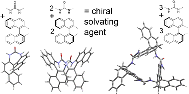 Graphical abstract: Binaphthalene-based cyclic homochiral ureas and their structure-related properties