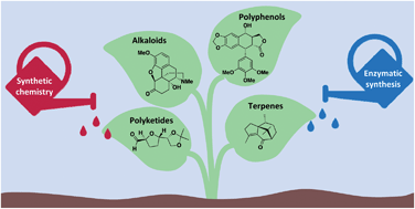 Graphical abstract: Chemoenzymatic approaches to plant natural product inspired compounds