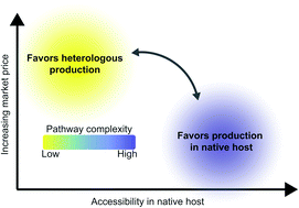 Graphical abstract: Plant-based engineering for production of high-valued natural products
