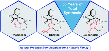 Graphical abstract: Rhazinilam–leuconolam family of natural products: a half century of total synthesis