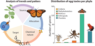 Graphical abstract: Egg toxic compounds in the animal kingdom. A comprehensive review