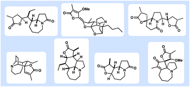 Graphical abstract: Strategies for the synthesis of Stemona alkaloids: an update