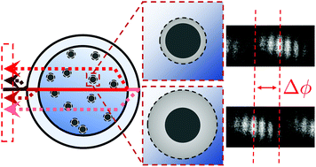 Graphical abstract: Measuring the refractive index and sub-nanometre surface functionalisation of nanoparticles in suspension