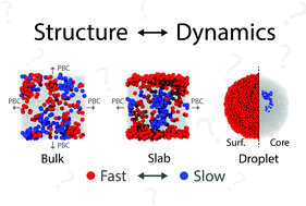 Graphical abstract: How do interfaces alter the dynamics of supercooled water?