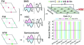 Graphical abstract: Two-dimensional heterotriangulene-based manganese organic frameworks: bipolar magnetic and half semiconductors with perpendicular magnetocrystalline anisotropy