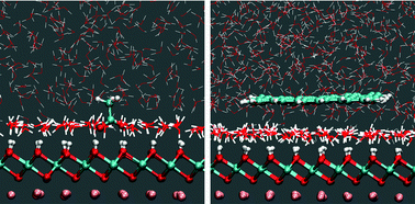 Graphical abstract: Binding of polar and hydrophobic molecules at the LiCoO2 (001)-water interface: force field development and molecular dynamics simulations