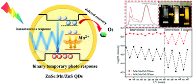 Graphical abstract: Binary temporary photo-response of ZnSe:Mn/ZnS quantum dots for visible time-domain anti-counterfeiting