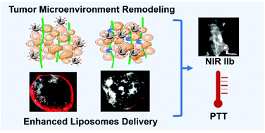 Graphical abstract: Enhanced delivery of theranostic liposomes through NO-mediated tumor microenvironment remodeling