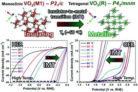 Graphical abstract: Mapping the electrocatalytic water splitting activity of VO2 across its insulator-to-metal phase transition
