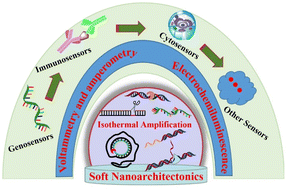 Graphical abstract: Nucleic acid isothermal amplification-based soft nanoarchitectonics as an emerging electrochemical biosensing platform