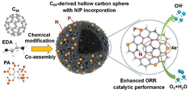 Graphical abstract: Coordinated regulation of phosphorus/nitrogen doping in fullerene-derived hollow carbon spheres and their synergistic effect for the oxygen reduction reaction
