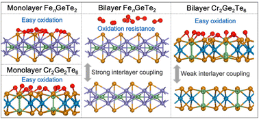 Graphical abstract: Oxidation behavior of layered FenGeTe2 (n = 3, 4, 5) and Cr2Ge2Te6 governed by interlayer coupling