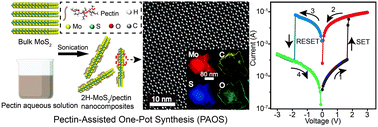 Graphical abstract: Pectin-assisted one-pot synthesis of MoS2 nanocomposites for resistive switching memory application