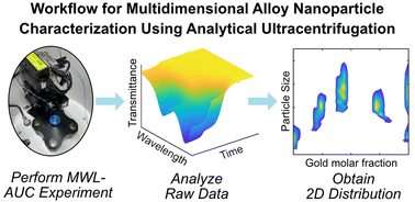 Graphical abstract: Multidimensional characterization of noble metal alloy nanoparticles by multiwavelength analytical ultracentrifugation