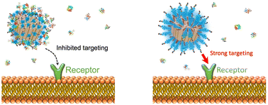 Graphical abstract: Tailored polyethylene glycol grafting on porous nanoparticles for enhanced targeting and intracellular siRNA delivery