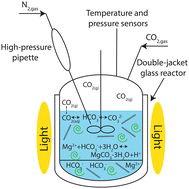 Graphical abstract: Enhanced precipitation of magnesium carbonates using carbonic anhydrase