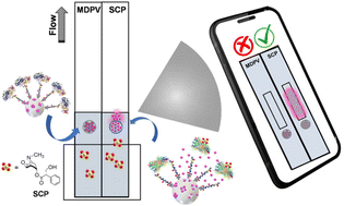 Graphical abstract: Dualplex lateral flow assay for simultaneous scopolamine and “cannibal drug” detection based on receptor-gated mesoporous nanoparticles