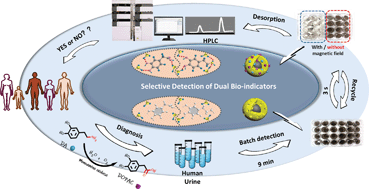 Graphical abstract: Spatially-directed magnetic molecularly imprinted polymers with good anti-interference for simultaneous enrichment and detection of dual disease-related bio-indicators