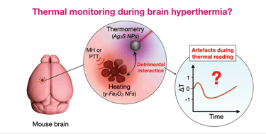 Graphical abstract: Optomagnetic nanofluids for controlled brain hyperthermia: a critical study