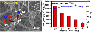Graphical abstract: Ni nanoparticle-decorated biomass carbon for efficient electrocatalytic nitrite reduction to ammonia