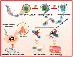 Graphical abstract: A core/shell nanogenerator achieving pH-responsive nitric oxide release for treatment of infected diabetic wounds