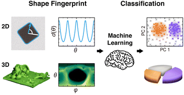 Graphical abstract: Seeking regularity from irregularity: unveiling the synthesis–nanomorphology relationships of heterogeneous nanomaterials using unsupervised machine learning