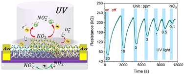 Graphical abstract: UV-light-assisted gas sensor based on PdSe2/InSe heterojunction for ppb-level NO2 sensing at room temperature