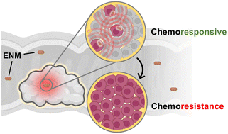 Graphical abstract: Nanoparticle-induced chemoresistance: the emerging modulatory effects of engineered nanomaterials on human intestinal cancer cell redox metabolic adaptation