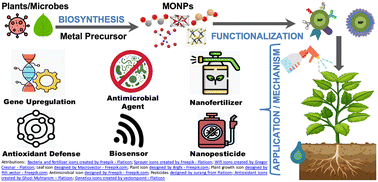 Graphical abstract: Biosynthesized metal oxide nanoparticles for sustainable agriculture: next-generation nanotechnology for crop production, protection and management
