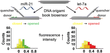 Graphical abstract: DNA origami book biosensor for multiplex detection of cancer-associated nucleic acids