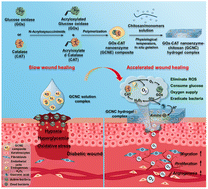 Graphical abstract: Nanoenzyme–chitosan hydrogel complex with cascade catalytic and self-reinforced antibacterial performance for accelerated healing of diabetic wounds