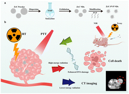 Graphical abstract: Ultrasmall zirconium carbide nanodots for synergistic photothermal-radiotherapy of glioma