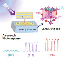 Graphical abstract: Anisotropic photoresponse behavior of a LaAlO3 single-crystal-based vacuum-ultraviolet photodetector