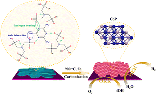 Graphical abstract: Regulating the coordination capacity of ATMP using melamine: facile synthesis of cobalt phosphides as bifunctional electrocatalysts for the ORR and HER